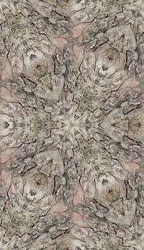 無縫樹皮紋理圖案