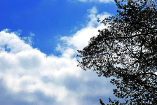 美麗的抽象夏日天空