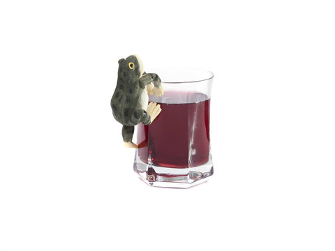 青蛙在白色的酒玻璃上