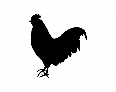 公雞的黑色剪影