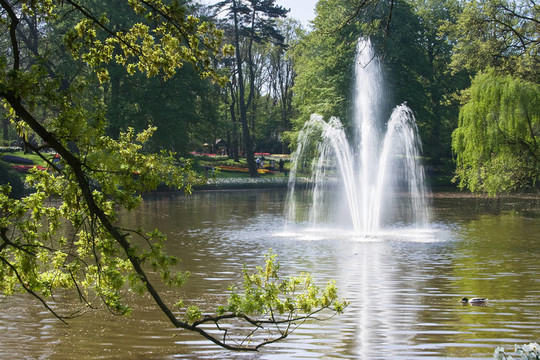 公園池塘里的噴泉