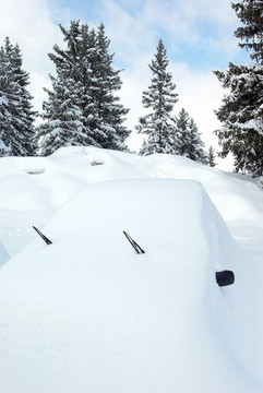 車覆蓋著雪1