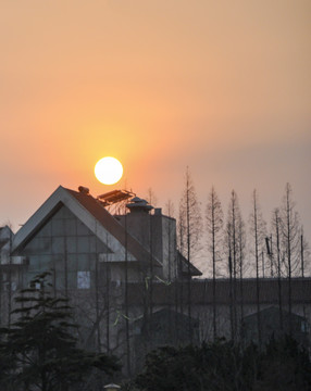 夕陽