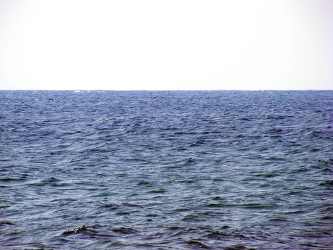 水景