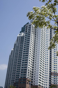 建筑