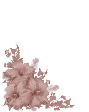 粉紅色的芙蓉邀請(qǐng)角