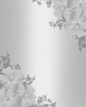 白芙蓉的婚禮請?zhí)? style=
