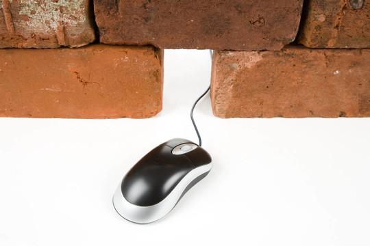 鼠標和電腦鼠標