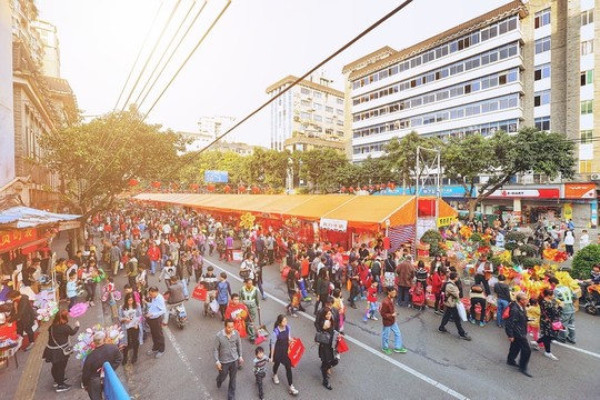 嶺南花市 新春花市 行花街