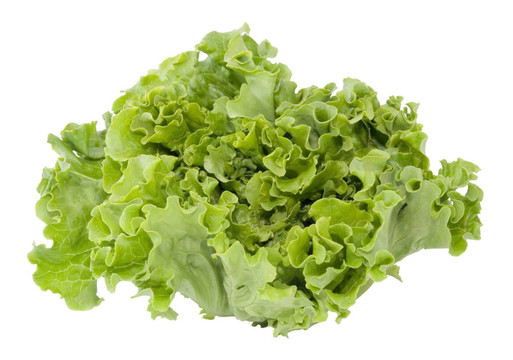 生菜