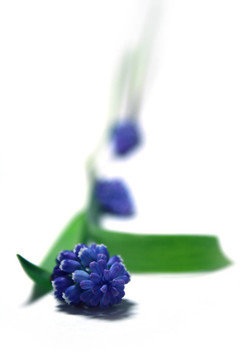 節(jié)奏