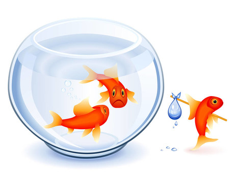 金魚的解放