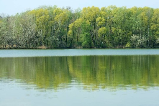 湖