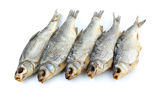 五干海蟑螂的魚