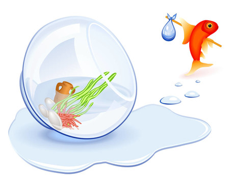 金魚(yú)無(wú)家可歸