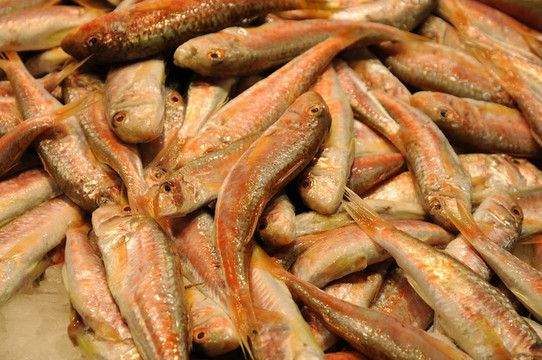 魚(yú)市場(chǎng)