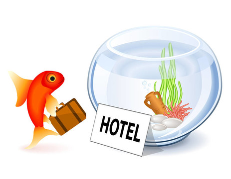 金魚酒店