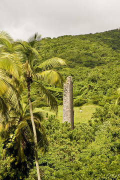 Jungle石塔