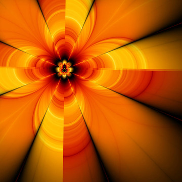 摘要fractal30g花；
