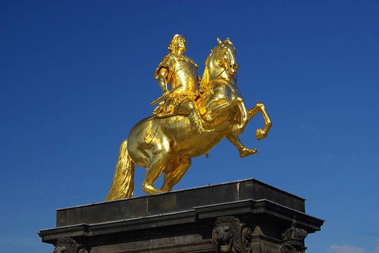 Dresden Golden Knight 01