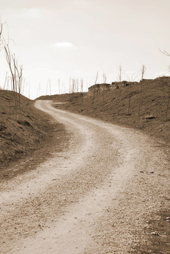 農(nóng)村公路