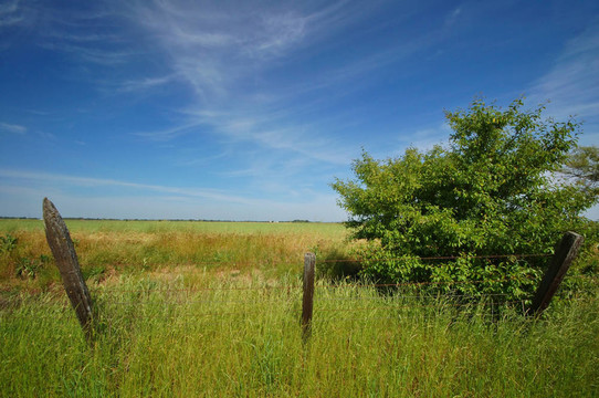 春天的鄉(xiāng)村
