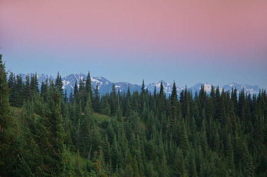 山景