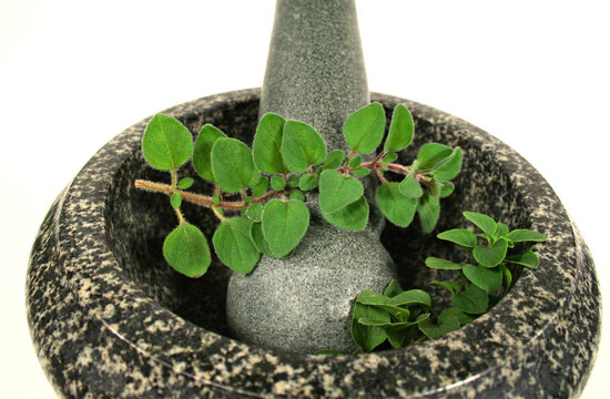 牛至研缽和杵