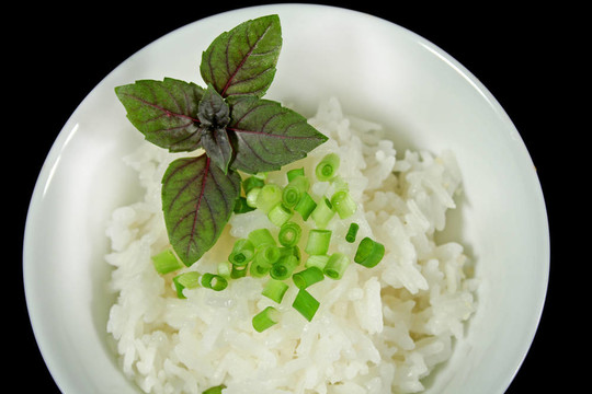 紅紫蘇和Rice