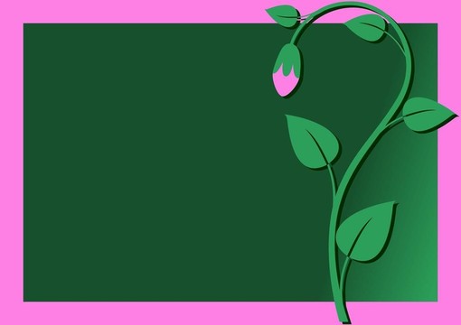 摘要花卡