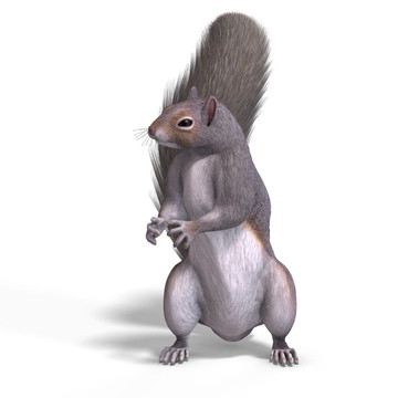 松鼠3D渲染