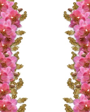 蘭花邊境的邀請(qǐng)