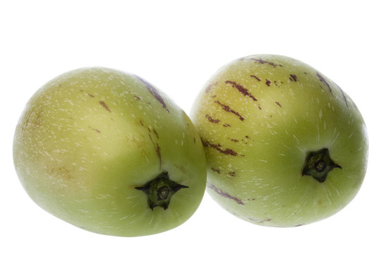 Pepino Dulce（瓜梨）分離