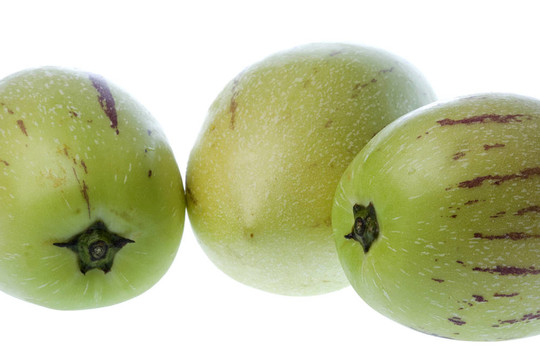 Pepino Dulce（瓜梨）分離