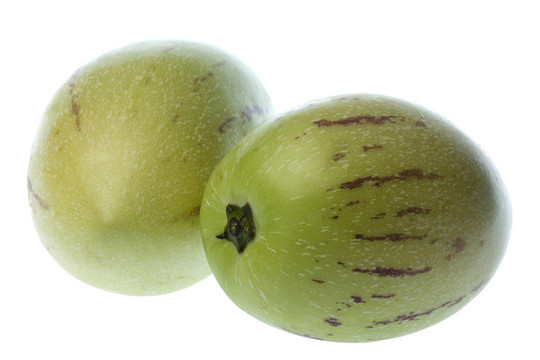 Pepino Dulce（瓜梨）分離