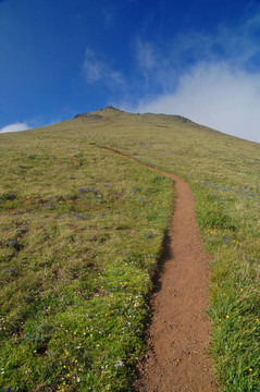 山中遠足徑