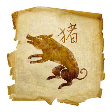 豬生肖圖標