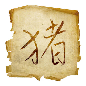 豬生肖圖標(biāo)