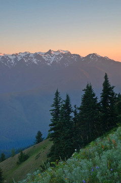 山景