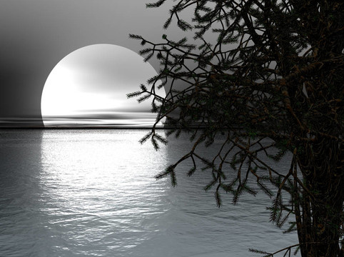 Sea的黑夜