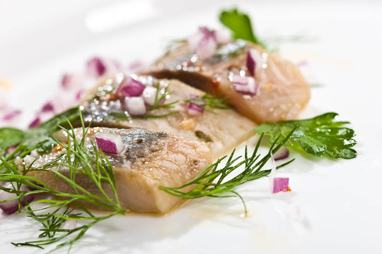 鯡魚(yú)
