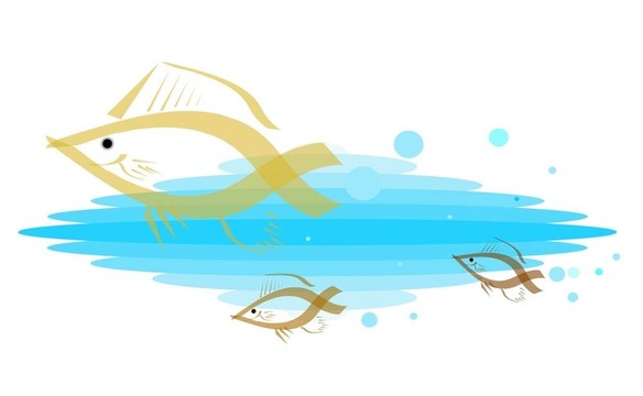 金魚