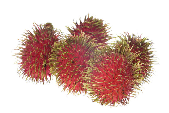 紅毛丹的分離