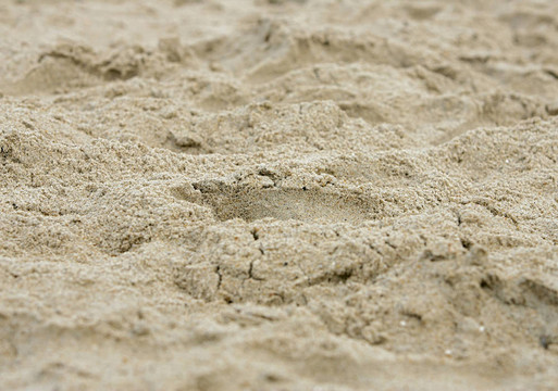 沙的紋理