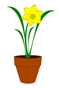 水仙的花
