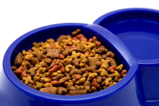 飼料
