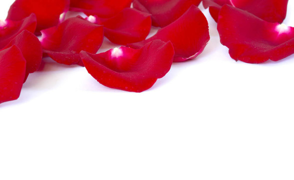 紅色的花瓣