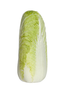 甘藍(lán)