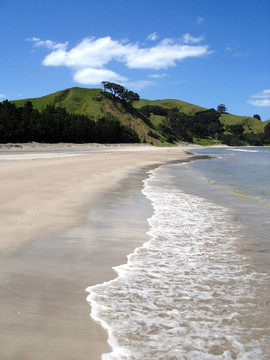 Whangapoua海灘；新西蘭