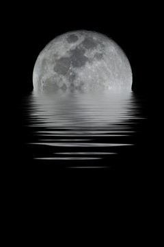 全Moon